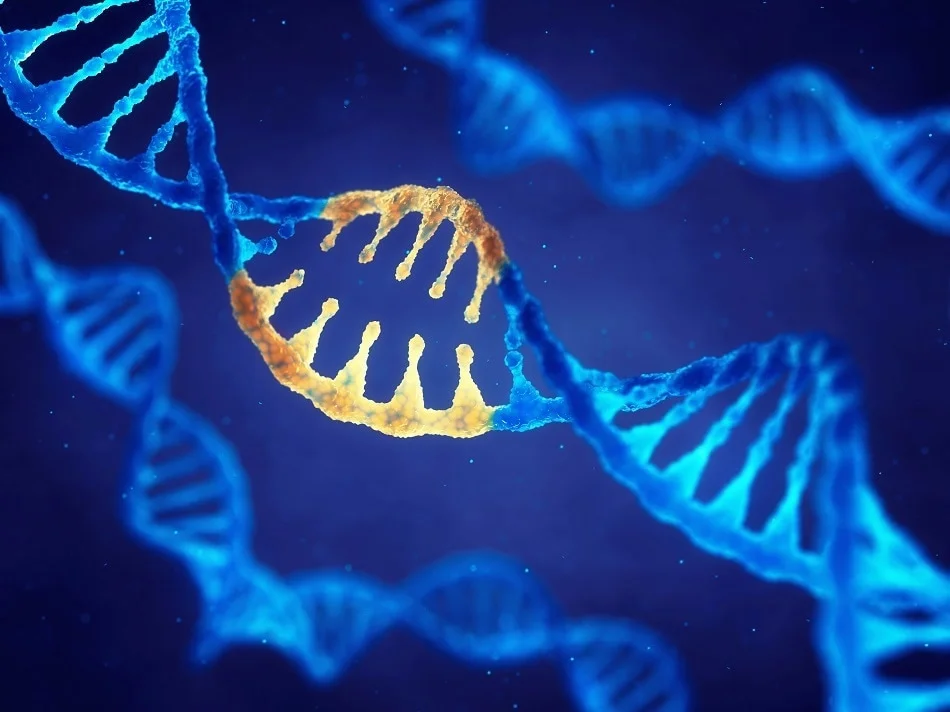 Nanobiotechnology and Nanomedicine